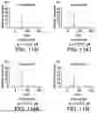 Fig. 197 - PROTEINS BINDING NKG2D, CD16 AND BAFF-R