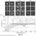 Fig. 07 - WAVELENGTH-RESOLVED PHOTONIC LANTERN WAVEFRONT SENSOR