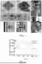 Fig. 02 - MAGNETIC SENSORS AND METHODS OF MAKING AND USING THEREOF