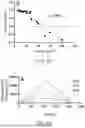 Fig. 08 - MAGNETIC SENSORS AND METHODS OF MAKING AND USING THEREOF