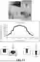 Fig. 19 - MAGNETIC SENSORS AND METHODS OF MAKING AND USING THEREOF