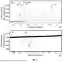 Fig. 09 - Radiometer and radiometer-based soil moisture determination method