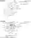 Fig. 84 - IMAGE FORMING APPARATUS