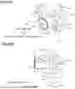 Fig. 86 - IMAGE FORMING APPARATUS