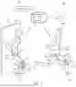 Fig. 02 - SYSTEMS AND METHODS FOR ANALYZING LOWER BODY MOVEMENT TO RECOMMEND FOOTWEAR