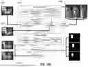 Fig. 22 - Method and System for Image Processing