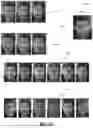 Fig. 28 - Method and System for Image Processing
