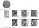 Fig. 09 - HYPERSPECTRAL LEARNING FOR INSTANTANEOUS SPATIOSPECTRAL IMAGING OF HEMODYNAMICS