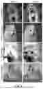 Fig. 07 - CONDITIONAL DIFFUSION MODEL FOR DATA-TO-DATA TRANSLATION