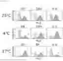 Fig. 06 - METHODS RELATED TO AN ALTERNATIVE CONFORMATION OF THE SARS-COV-2 SPIKE PROTEIN
