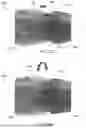Fig. 23 - SPRING LOADED ELECTRICAL CONNECTOR