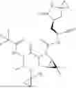 Fig. 294 - INHIBITORS OF CYSTEINE PROTEASES AND METHODS OF USE THEREOF