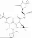 Fig. 331 - INHIBITORS OF CYSTEINE PROTEASES AND METHODS OF USE THEREOF