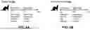 Fig. 04 - MULTIVALENT INFLUENZA VACCINES COMPRISING RECOMBINANT HEMAGGLUTININ AND NEURAMINIDASE AND METHODS OF USING THE SAME