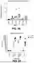 Fig. 06 - MULTIVALENT INFLUENZA VACCINES COMPRISING RECOMBINANT HEMAGGLUTININ AND NEURAMINIDASE AND METHODS OF USING THE SAME