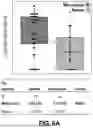 Fig. 10 - MULTIVALENT INFLUENZA VACCINES COMPRISING RECOMBINANT HEMAGGLUTININ AND NEURAMINIDASE AND METHODS OF USING THE SAME