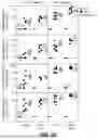Fig. 14 - MULTIVALENT INFLUENZA VACCINES COMPRISING RECOMBINANT HEMAGGLUTININ AND NEURAMINIDASE AND METHODS OF USING THE SAME