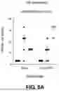 Fig. 15 - MULTIVALENT INFLUENZA VACCINES COMPRISING RECOMBINANT HEMAGGLUTININ AND NEURAMINIDASE AND METHODS OF USING THE SAME