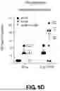 Fig. 17 - MULTIVALENT INFLUENZA VACCINES COMPRISING RECOMBINANT HEMAGGLUTININ AND NEURAMINIDASE AND METHODS OF USING THE SAME