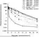 Fig. 01 - MEDIUM-MOLECULAR-WEIGHT COMPOUND CONJUGATE FOR IMPROVING PHARMACOKINETIC PROFILE OF MEDIUM-MOLECULAR-WEIGHT COMPOUND AND METHOD OF PRODUCING THE SAME