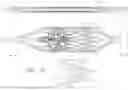 Fig. 30 - VENTRICULAR ASSIST DEVICE WITH OPTICAL FIBER