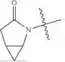 Fig. 167 - NAMPT MODULATORS