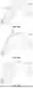 Fig. 17 - LEVER ACTION FIREARM