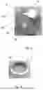 Fig. 08 - CONTAINER FOR DETERMINING THE QUANTITY OF CO2 ABSORBED AND/OR EXPELLED BY A SAMPLE OF MATTER OVER TIME