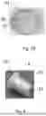 Fig. 09 - CONTAINER FOR DETERMINING THE QUANTITY OF CO2 ABSORBED AND/OR EXPELLED BY A SAMPLE OF MATTER OVER TIME