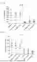 Fig. 07 - CELL-BASED ASSAY FOR DETECTING ANTl-CD3 HOMODIMERS
