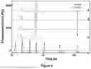 Fig. 03 - MULTIMERIC PROTEIN PURITY DETERMINATION