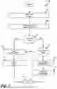 Fig. 08 - CROWDSOURCED REPUTATIONS FOR WIRELESS NETWORKS