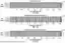 Fig. 13 - EFFICIENT NONLINEAR BEAMFORMING VIA ON-THE-FLY MODEL-SPACE RECONSTRUCTION