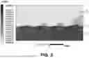 Fig. 04 - Detection of ferromagnetic objects submerged in a body of water