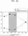 Fig. 07 - PHASE GRATING LIQUID CRYSTAL (PGLC) DEVICE AND METHOD OF MANUFACTURING THE SAME