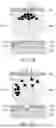 Fig. 12 - Electronic Ink Screen and Display Apparatus