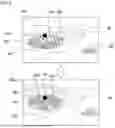 Fig. 04 - VARYING ICONS TO IMPROVE OPERABILITY