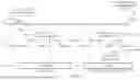 Fig. 04 - Transparently attached flash memory security