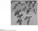 Fig. 09 - CONFIDENCE AIDED UPSAMPLING OF CATEGORICAL MAPS