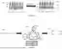 Fig. 02 - SYSTEMS AND METHODS FOR DETECTION OF ANOMALOUS BEHAVIOR