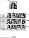 Fig. 10 - MACHINE LEARNING DIFFUSION MODEL WITH IMAGE ENCODER TRAINED FOR SYNTHETIC IMAGE GENERATION