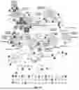 Fig. 106 - METHODS AND SYSTEMS FOR MACHINE LEARNING ANALYSIS OF SINGLE NUCLEOTIDE POLYMORPHISMS IN LUPUS