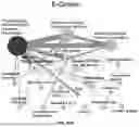 Fig. 114 - METHODS AND SYSTEMS FOR MACHINE LEARNING ANALYSIS OF SINGLE NUCLEOTIDE POLYMORPHISMS IN LUPUS