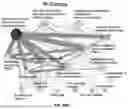 Fig. 115 - METHODS AND SYSTEMS FOR MACHINE LEARNING ANALYSIS OF SINGLE NUCLEOTIDE POLYMORPHISMS IN LUPUS