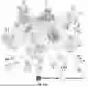 Fig. 122 - METHODS AND SYSTEMS FOR MACHINE LEARNING ANALYSIS OF SINGLE NUCLEOTIDE POLYMORPHISMS IN LUPUS
