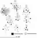 Fig. 137 - METHODS AND SYSTEMS FOR MACHINE LEARNING ANALYSIS OF SINGLE NUCLEOTIDE POLYMORPHISMS IN LUPUS