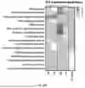 Fig. 148 - METHODS AND SYSTEMS FOR MACHINE LEARNING ANALYSIS OF SINGLE NUCLEOTIDE POLYMORPHISMS IN LUPUS