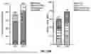 Fig. 151 - METHODS AND SYSTEMS FOR MACHINE LEARNING ANALYSIS OF SINGLE NUCLEOTIDE POLYMORPHISMS IN LUPUS