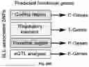 Fig. 152 - METHODS AND SYSTEMS FOR MACHINE LEARNING ANALYSIS OF SINGLE NUCLEOTIDE POLYMORPHISMS IN LUPUS