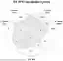 Fig. 154 - METHODS AND SYSTEMS FOR MACHINE LEARNING ANALYSIS OF SINGLE NUCLEOTIDE POLYMORPHISMS IN LUPUS